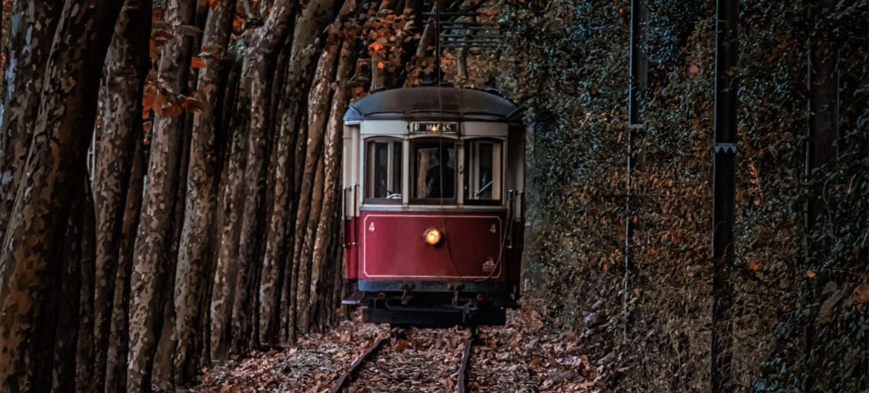 Lisboa-Sintra-Autumn